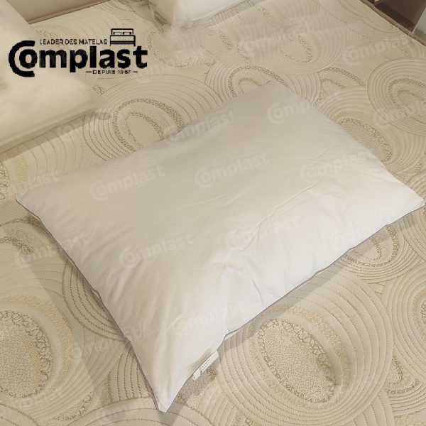 ZT72062 - POLYSTER PILLOWx (2)