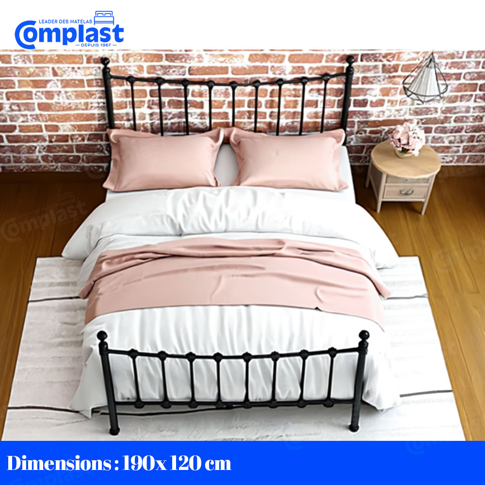 ZT81229 METAL BED MODEL RJ-Y240-190 x 120 ZT81229 METAL BED MODEL RJ-Y240-190 x 120